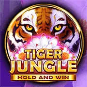 Video Slot Hiện Đại trên vipwin app